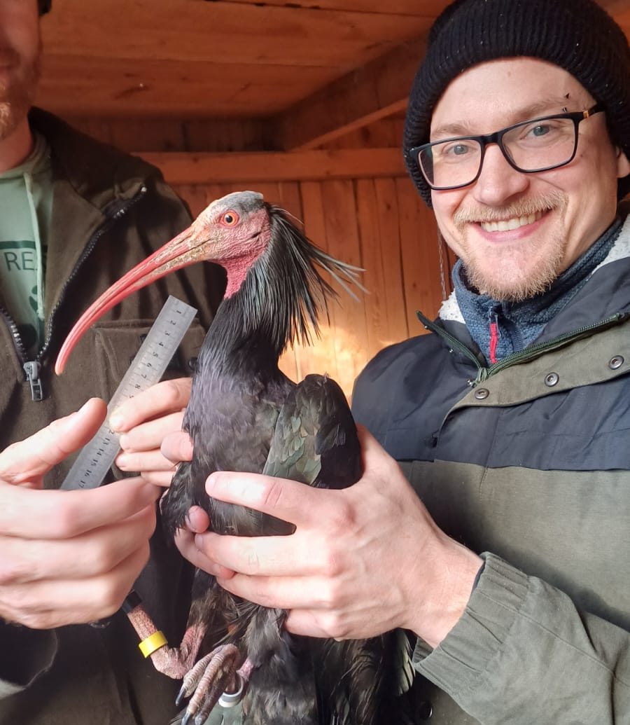 New Postdoc at the KLF – Emil Isaksson